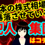 日本の株式相場を暴落させている犯人集団