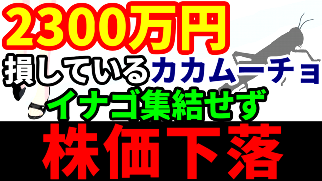 2300万円損しているカカムーチョ、大量報告書を提出するもイナゴ集結せず株価下落