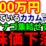 2300万円損しているカカムーチョ、大量報告書を提出するもイナゴ集結せず株価下落