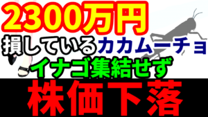 2300万円損しているカカムーチョ、大量報告書を提出するもイナゴ集結せず株価下落