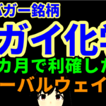 明日のテンバガー銘柄として長期保有すると宣言したスガイ化学を3カ月で利確したグローバルウェイ社長