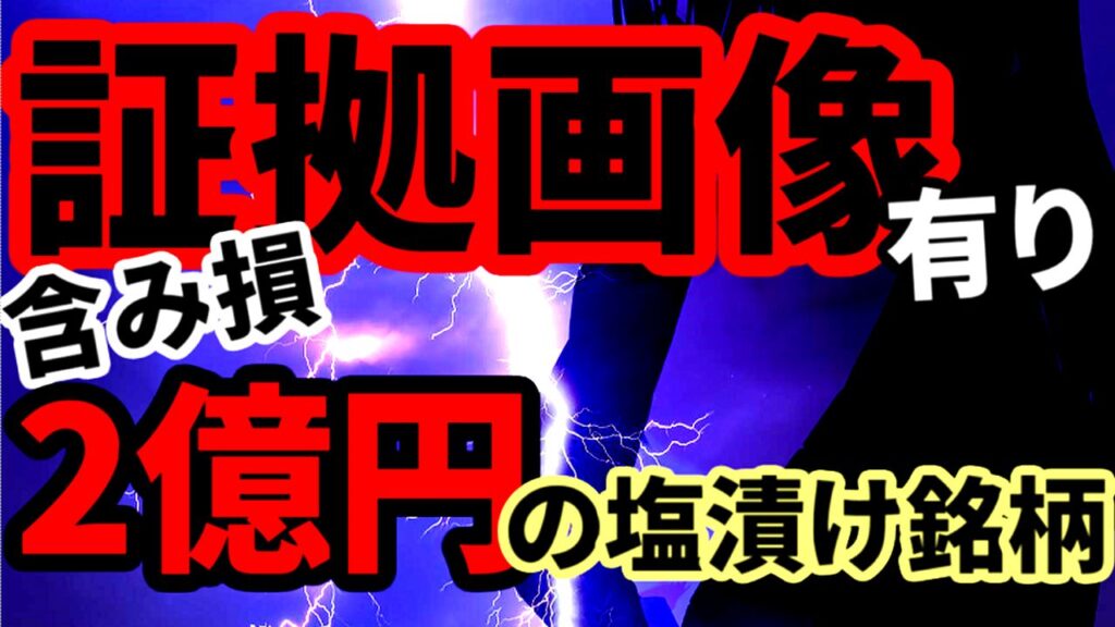 【証拠画像有り】含み損2億円超えの塩漬け銘柄