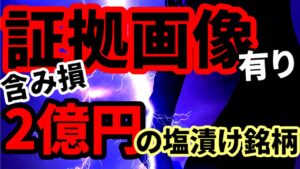 【証拠画像有り】含み損2億円超えの塩漬け銘柄