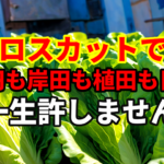 【強制ロスカットで大損】日本円も岸田も植田も日銀も一生許しません